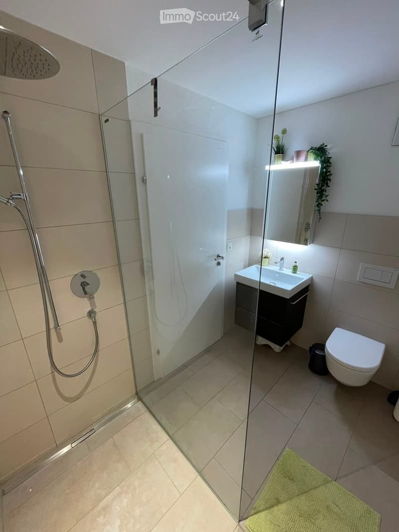 Modern bathroom with a glass-enclosed shower, a white sink with a dark cabinet, a toilet, and a mirror above the sink. The shower features a handheld sprayer and a fixed overhead showerhead. A green bath mat is placed on the floor near the shower area.