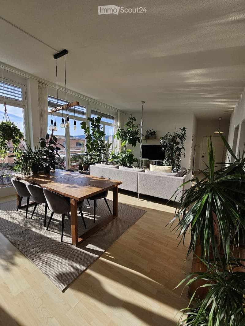 Bright, open living and dining area with large windows, wooden flooring, a white sofa, a wooden dining table with chairs, and several potted plants.