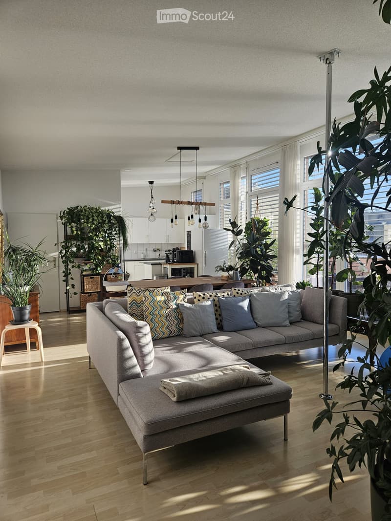 Modern living room with a grey sectional sofa, colorful throw pillows, a wooden coffee table, and a small wooden stool. The room features large windows with white curtains, pendant lights, and several potted plants. A dining area with a wooden table and c