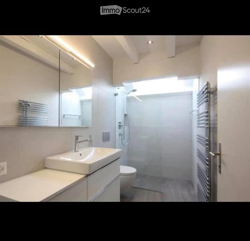 Modern bathroom with a white sink, mirror, toilet, and a glass-enclosed shower. Features a built-in radiator and sleek, contemporary design.