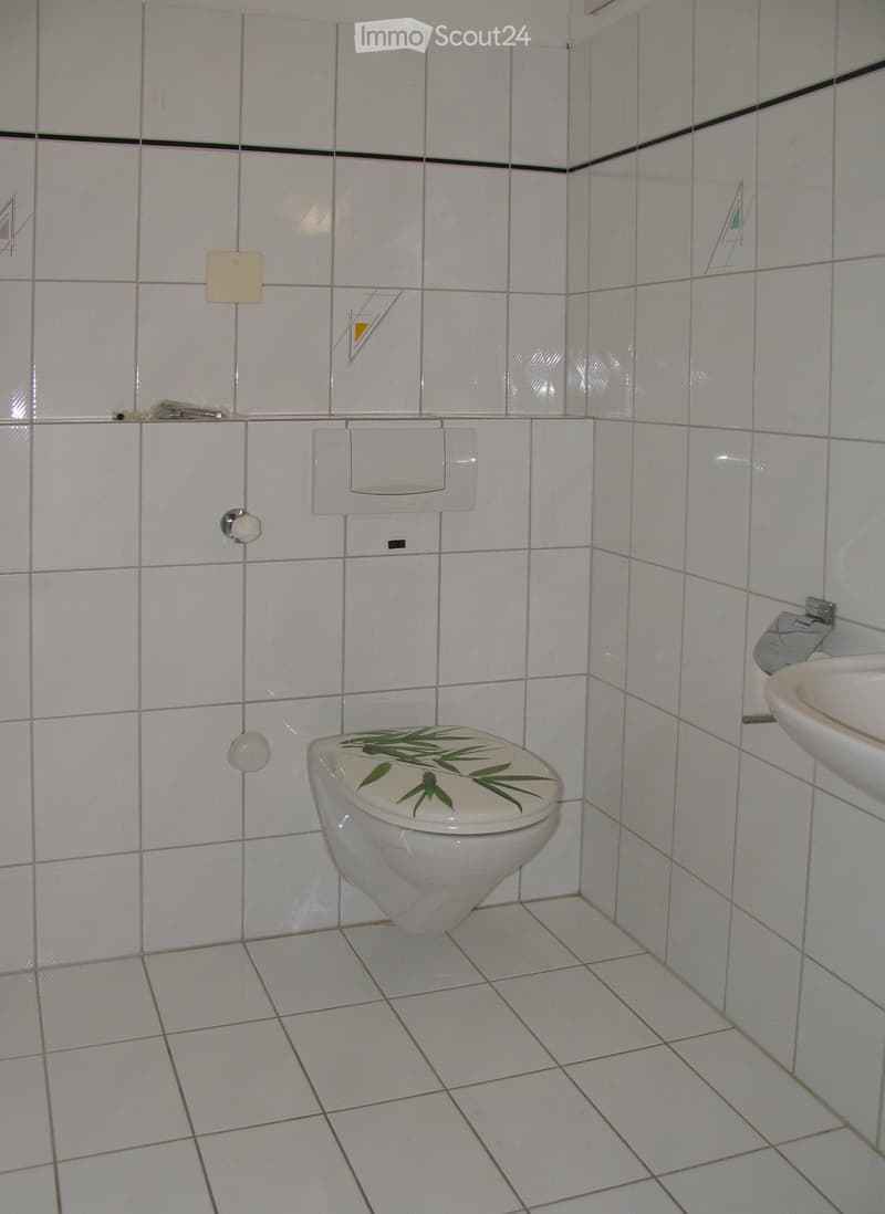 White tiled bathroom with a toilet featuring a green leaf design on the lid and a white sink on the right side.