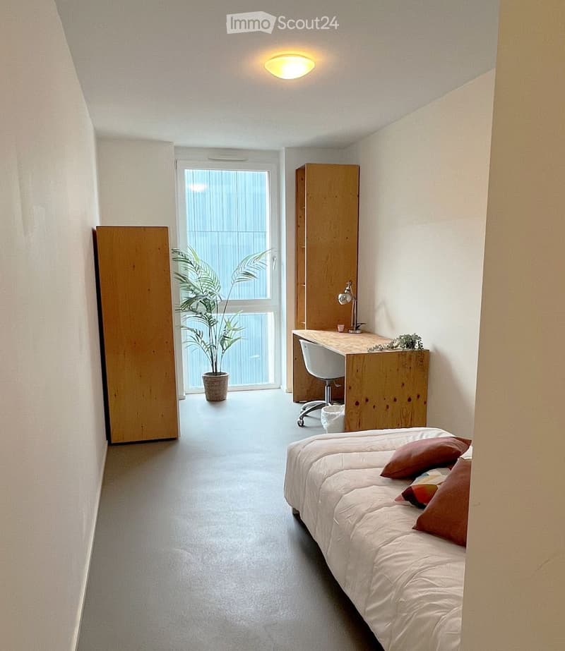 Modern, minimalist bedroom with a single bed, desk, chair, lamp, and potted plant near the window.