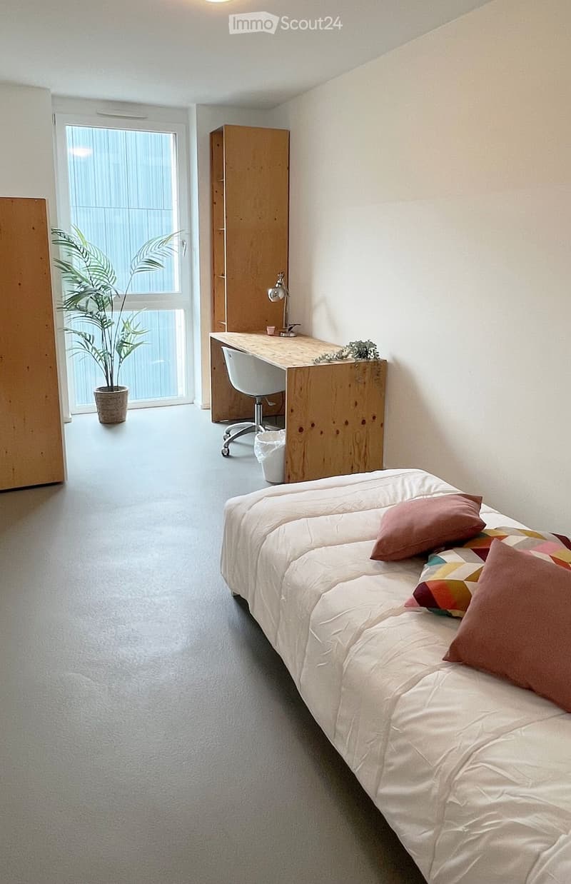 Modern, minimalist bedroom with a white sofa, colorful pillows, a wooden desk, a white chair, a small lamp, a potted plant, and a wooden wardrobe.