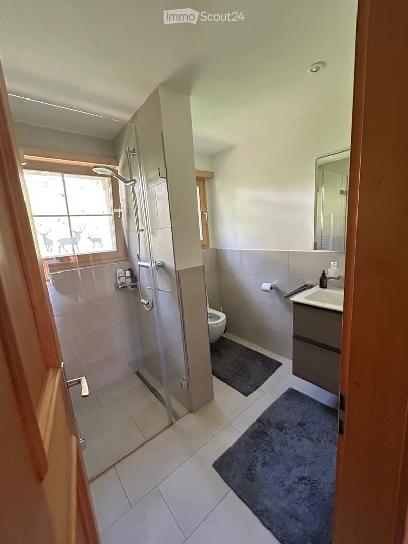 Modern bathroom with a glass-enclosed shower, toilet, sink with a mirror, and a dark-colored bathroom rug. The shower has a modern design with a glass door and a decorative window with deer silhouettes.