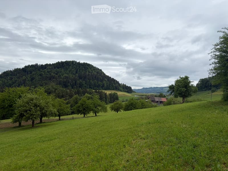 A lush green meadow with scattered trees, a small wooden house, and a forested hill in the background under a cloudy sky.