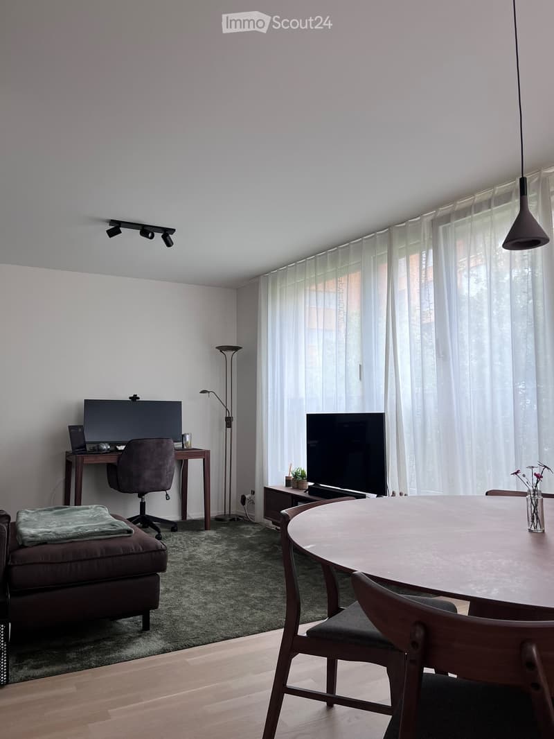 A modern living room with a sofa, a round wooden table with chairs, a desk with a laptop, and a large screen. The room features large windows with sheer curtains, a floor lamp, and a small plant on the coffee table.