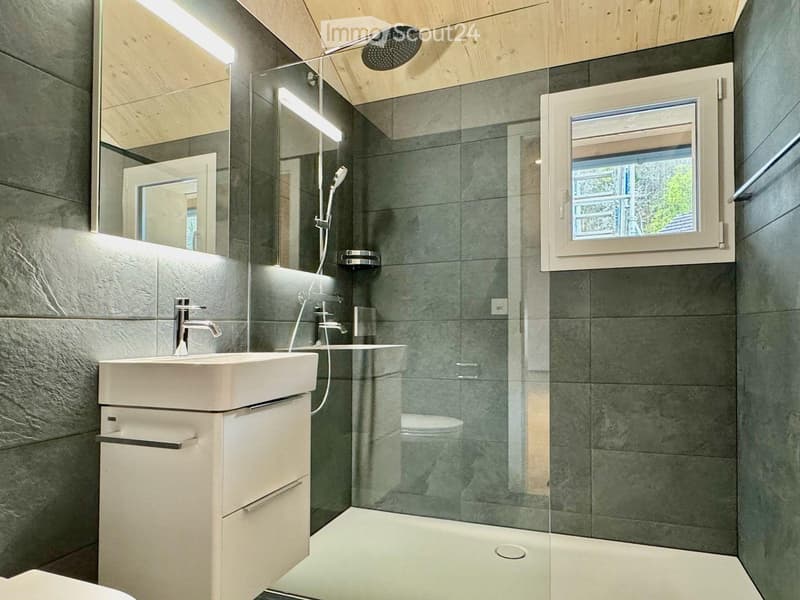 Modern bathroom with a white sink, chrome faucet, large mirror, glass-enclosed shower, and a toilet visible behind the glass door.