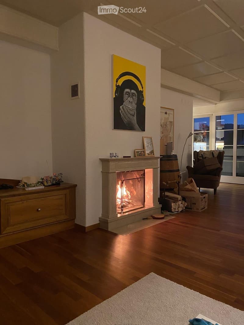 Living room with a modern fireplace, wooden flooring, a sofa, a chair, a small table with books and remote controls, a painting, and a wooden barrel with firewood.