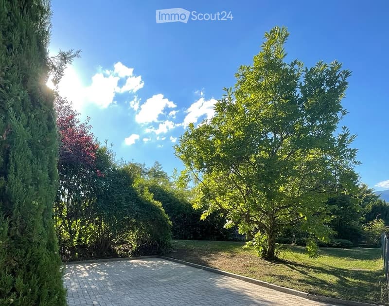A sunny garden area with a paved pathway, lush green trees, and shrubs under a clear blue sky.