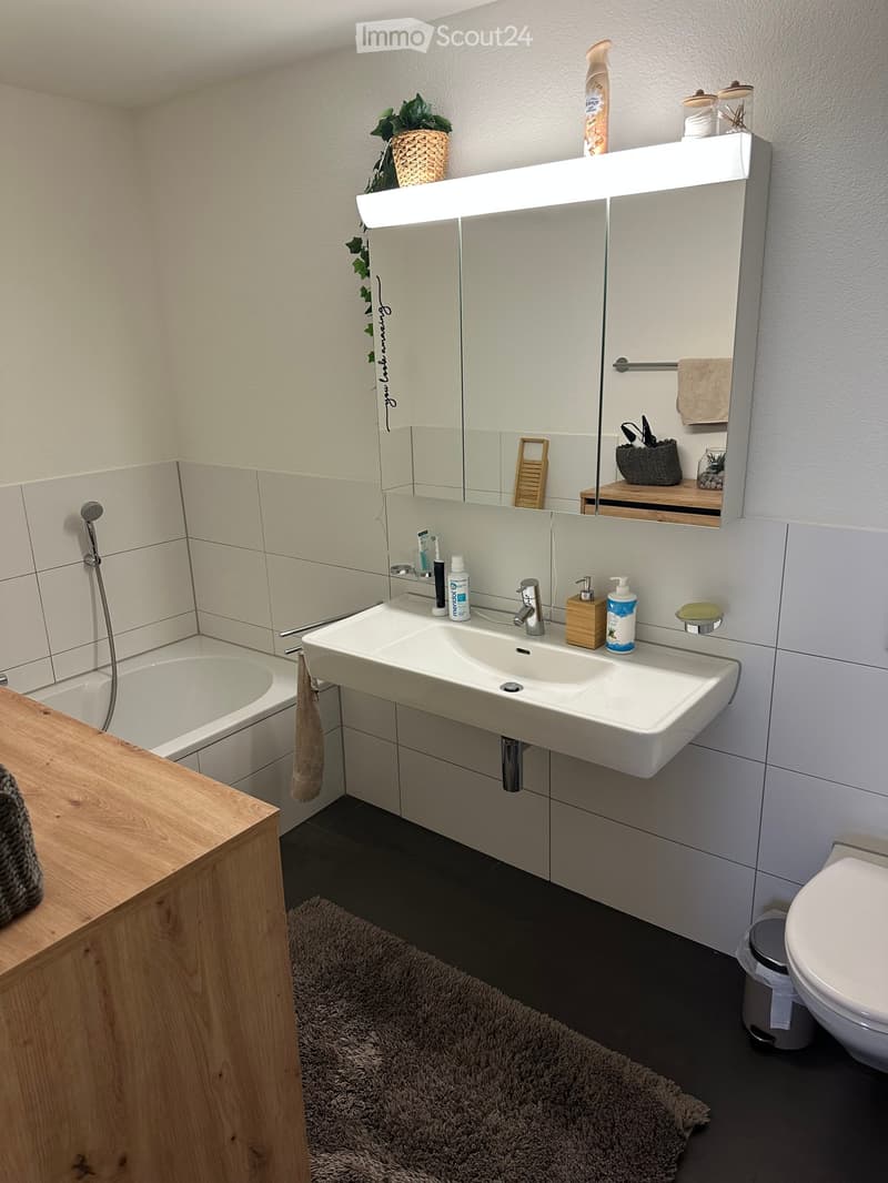 Modern bathroom with a double sink, mirror with built-in lighting, bathtub, toilet, and various toiletries. Includes a wooden shelf with decorative items and a small plant.