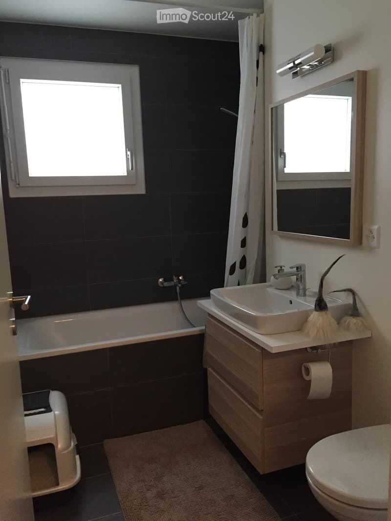 Modern bathroom with dark tiled walls, white bathtub, sink with faucet, mirror, toilet, and wooden cabinet.