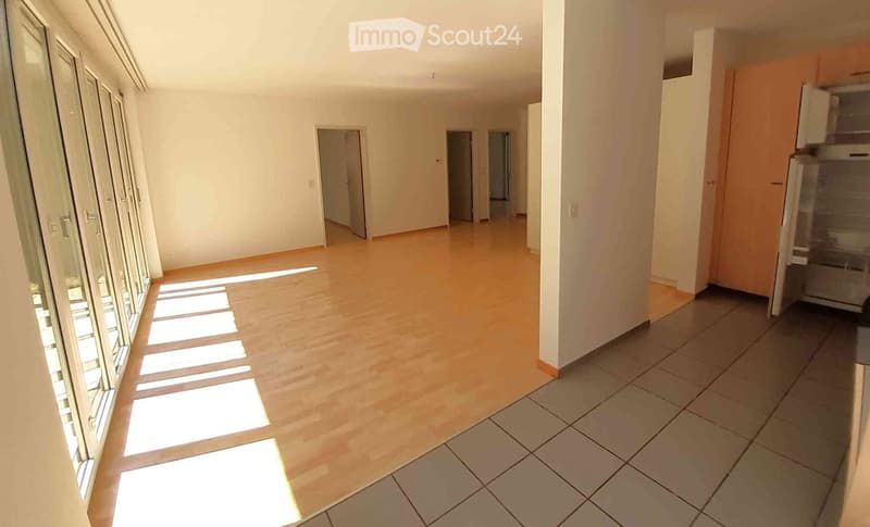 Empty room with wooden flooring and tiled section, large windows, and several doors leading to other spaces.