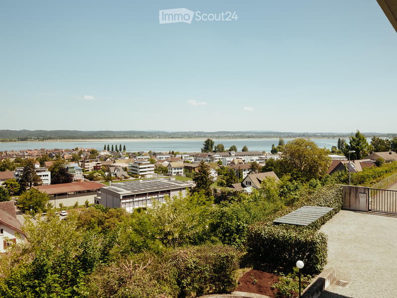 A panoramic view of a suburban neighborhood with houses, trees, and a body of water in the background.