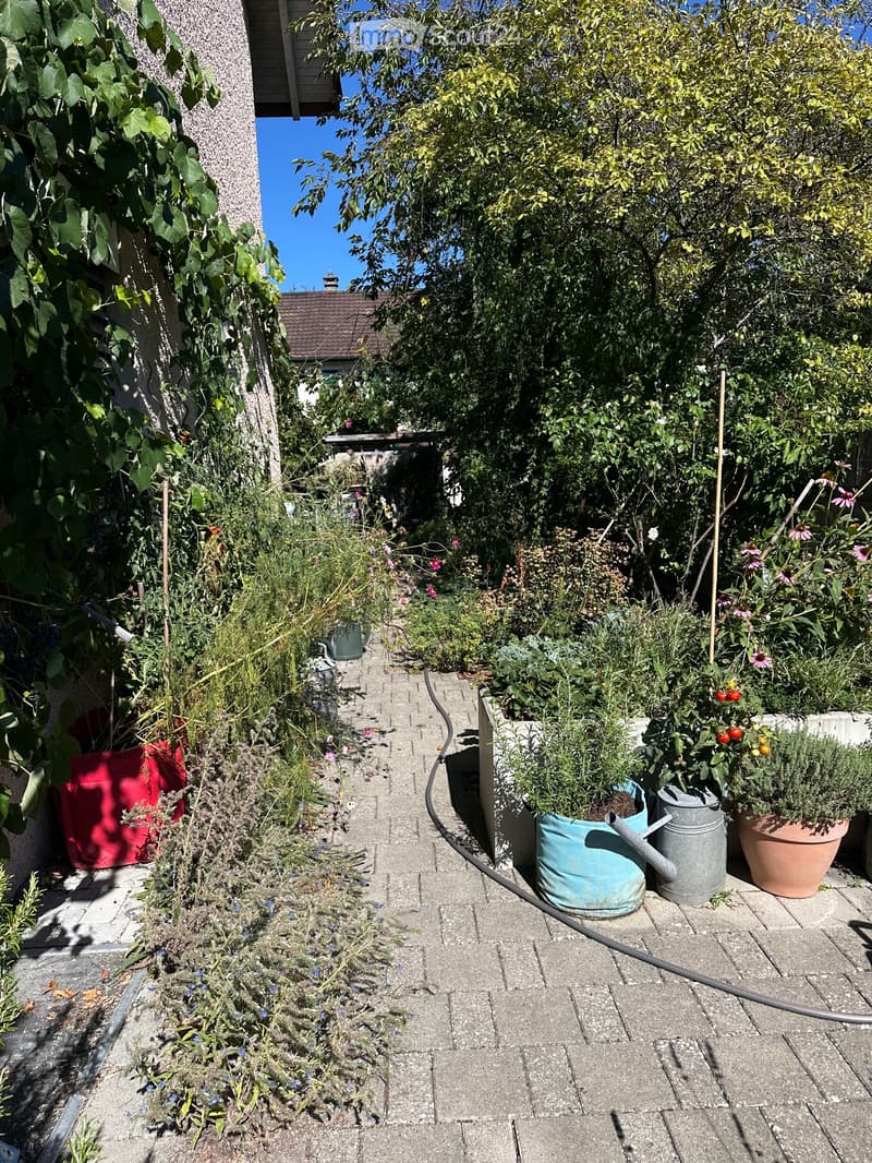 A narrow garden path lined with potted plants, including herbs and flowers, with a hose and watering can visible.