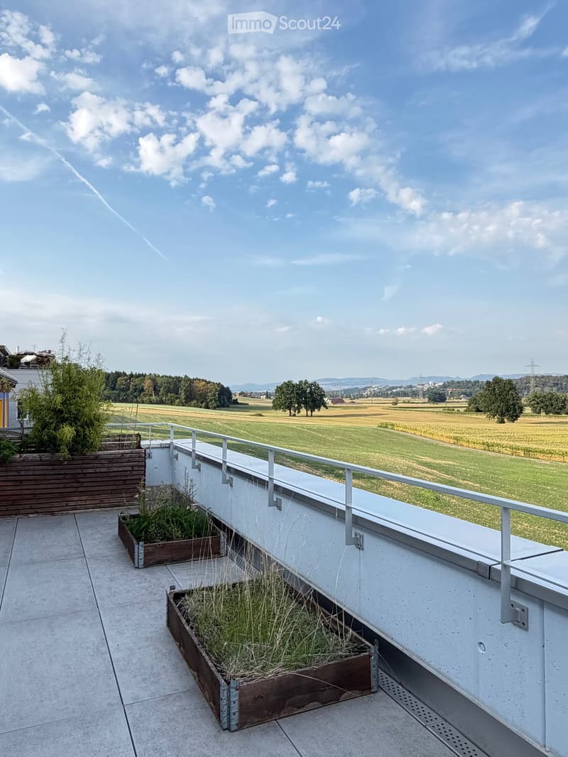 Nachmieter gesucht für helle 5.5 Zimmer Attika Wohnung mit unverbaubarer Aussicht in Dietwil (1)