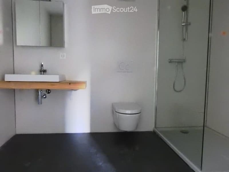 Modern bathroom with a white sink, mirror, toilet, and glass-enclosed shower. The floor is dark grey, and the walls are white.