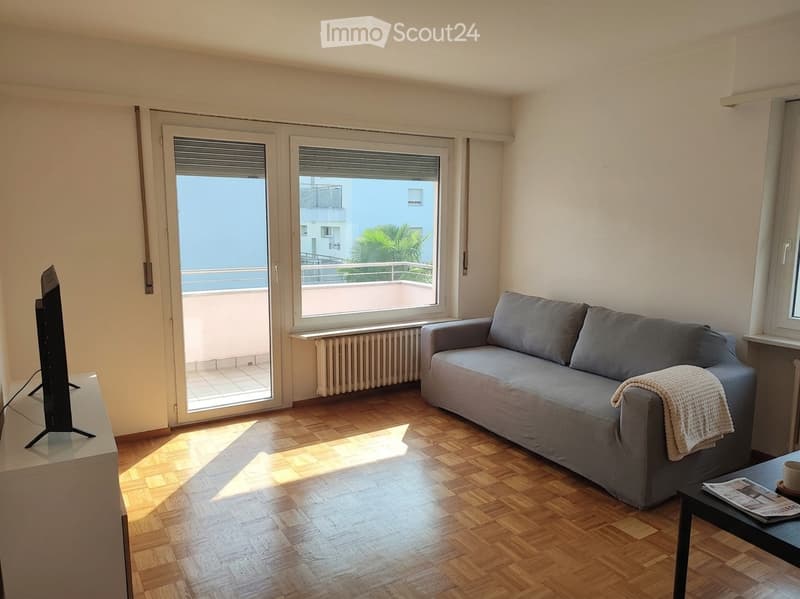 Bright living room with wooden flooring, large windows, and a balcony view. Features a grey sofa, coffee table, and television.