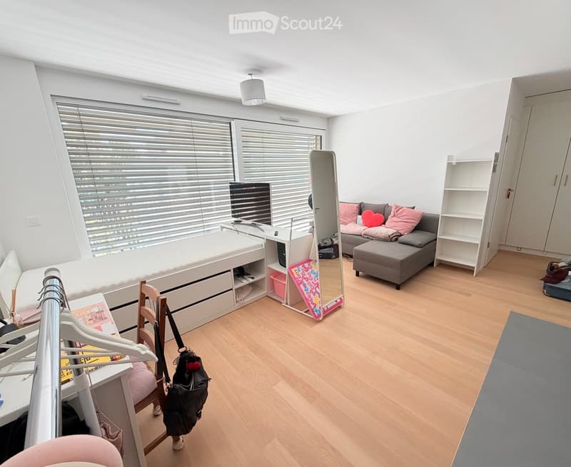 A modern, well-lit room with a sofa, ottoman, mirror, television, bed, chair, bookshelf, and clothing rack. The room features large windows with blinds and a wooden floor.