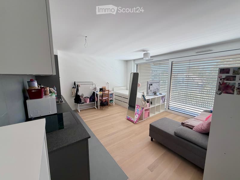 A modern, open-concept living space with a grey sofa, a standing mirror, a desk with a laptop, a small kitchen area, and various storage items.