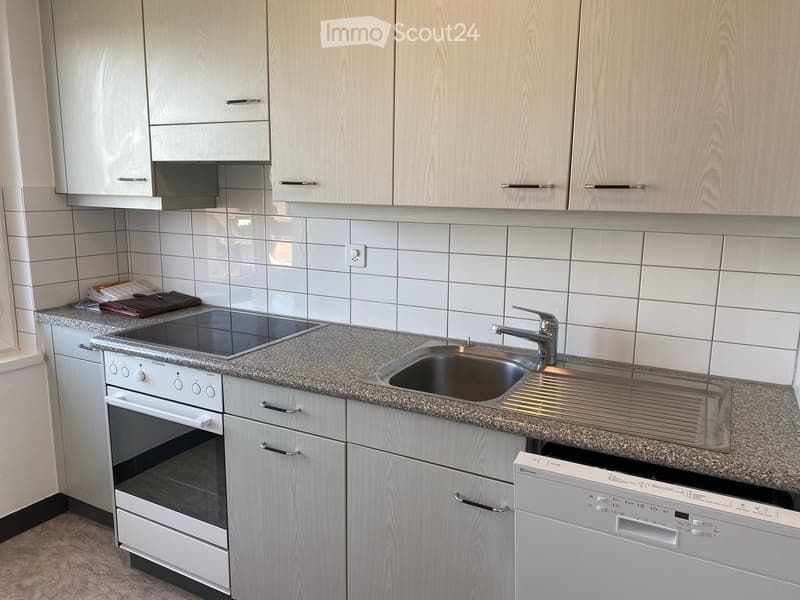 Modern kitchen with light wood cabinets, granite countertop, stainless steel sink, induction cooktop, oven, and dishwasher.