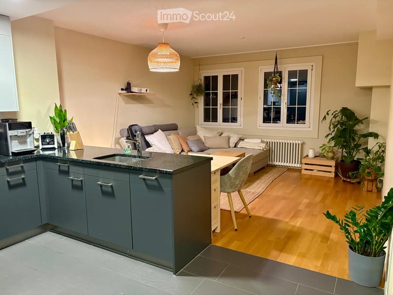 Open-plan living and kitchen area with a grey sofa, coffee table, kitchen island, and various appliances. The space features wooden flooring, large windows, and several potted plants.