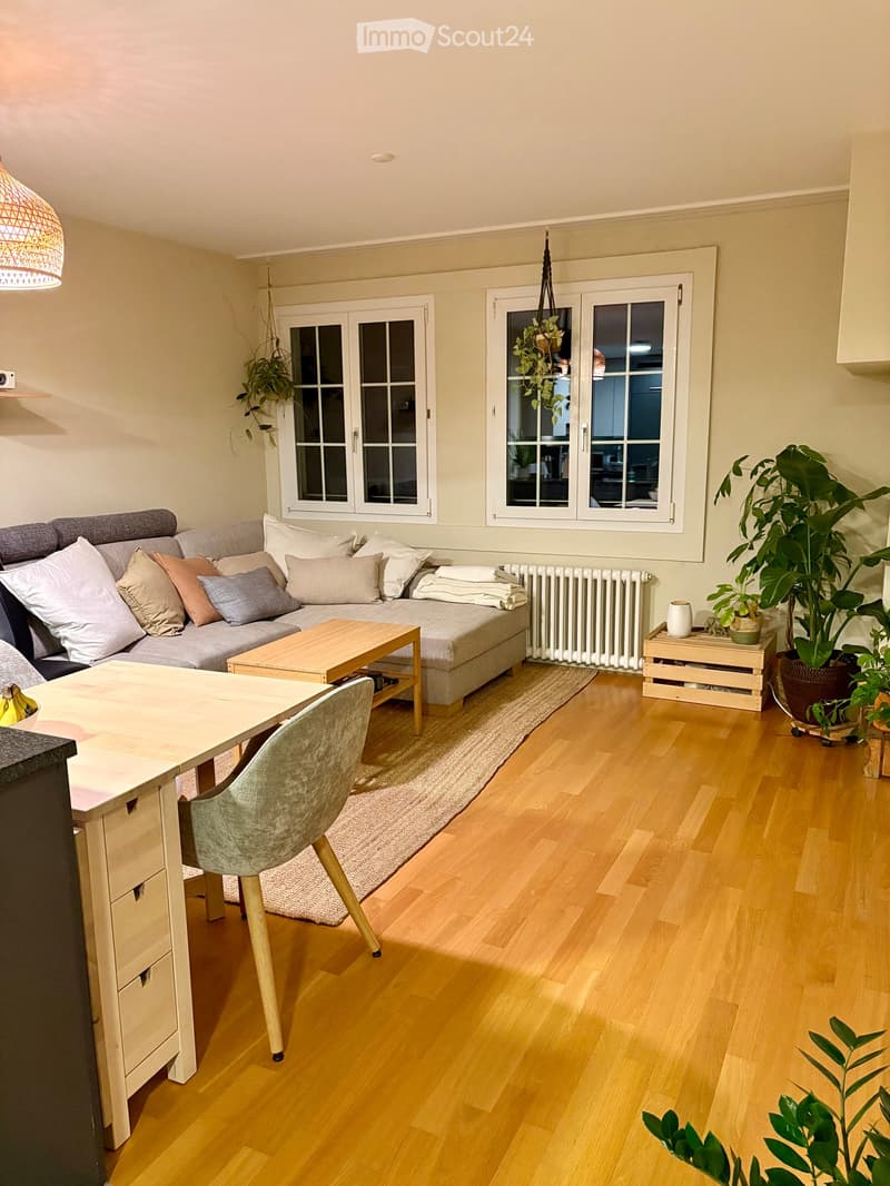 A modern living room with a grey sectional sofa, wooden coffee table, dining table, and chairs. Features large windows, wooden flooring, and several potted plants.