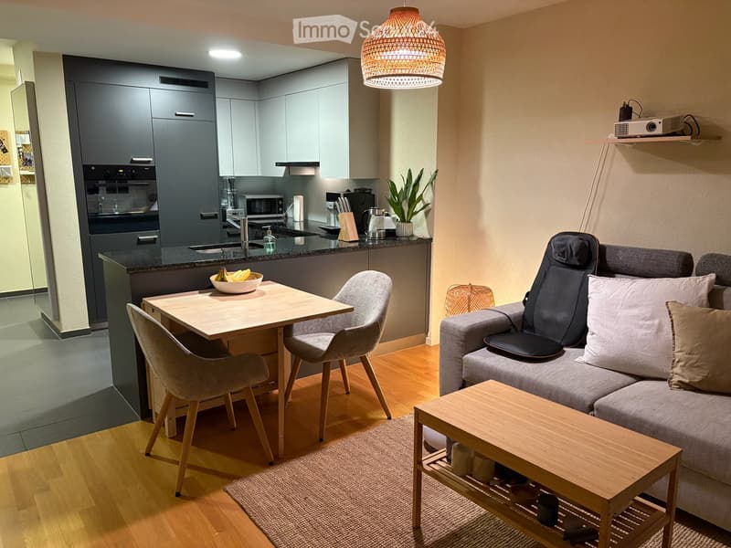 Wohnung in Ennetbaden (3)