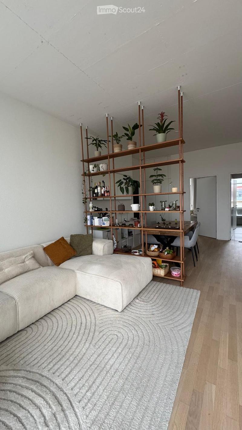 Modern living room with a white sectional sofa, wooden shelves filled with plants and decorative items, a dining table with chairs, and a patterned rug on the floor.