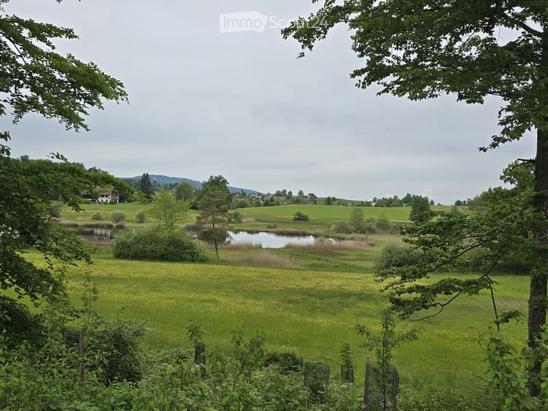 A serene rural landscape with green fields, scattered trees, a small pond, and distant houses under a cloudy sky.