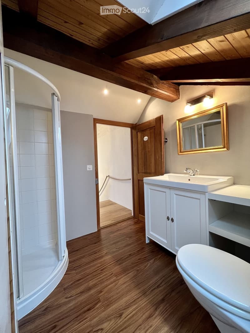 Bathroom with wooden flooring, white sink, toilet, mirror, and a shower area with a glass enclosure. The room features exposed wooden beams on the ceiling and warm lighting.