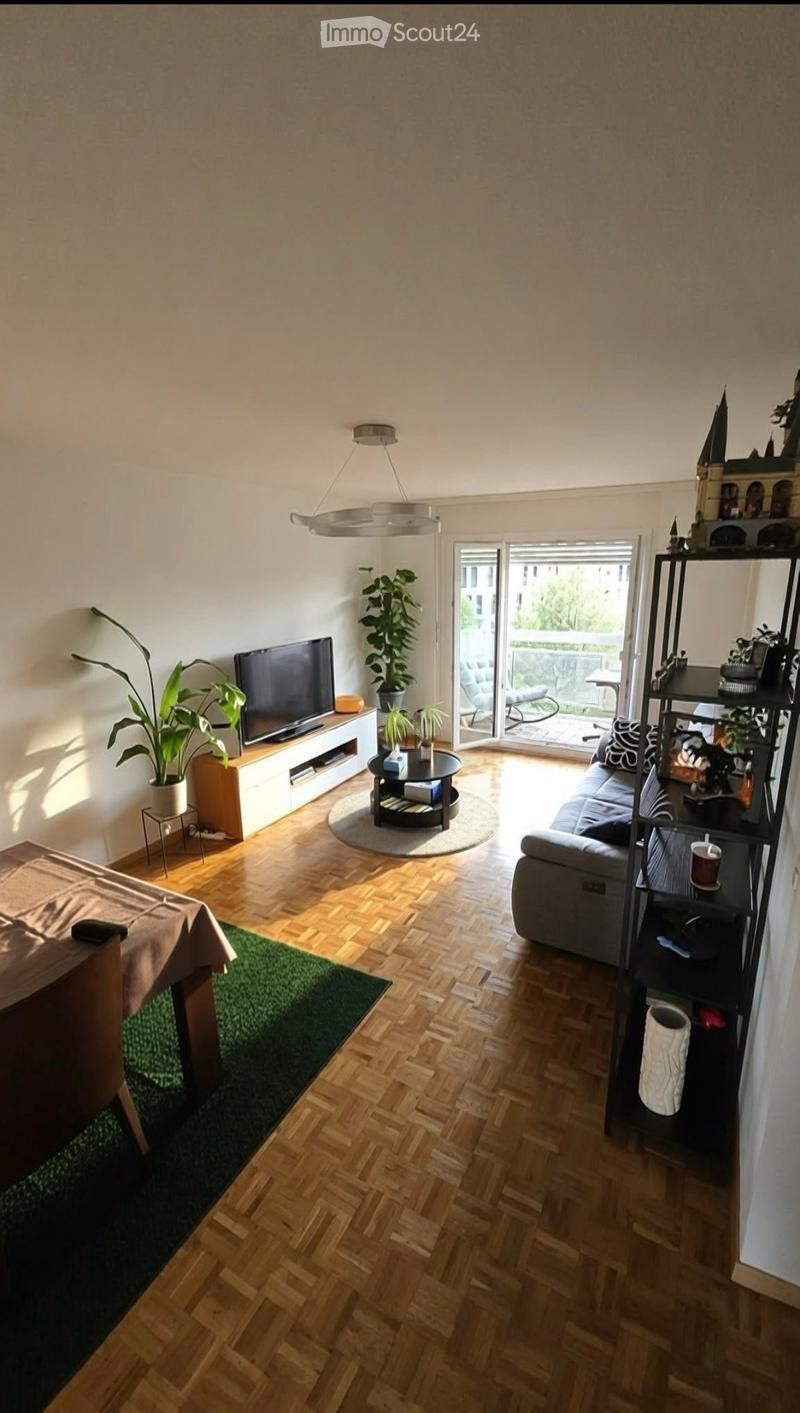 Modern living room with wooden flooring, large windows, a grey sofa, coffee table, TV, floor lamp, and plants.