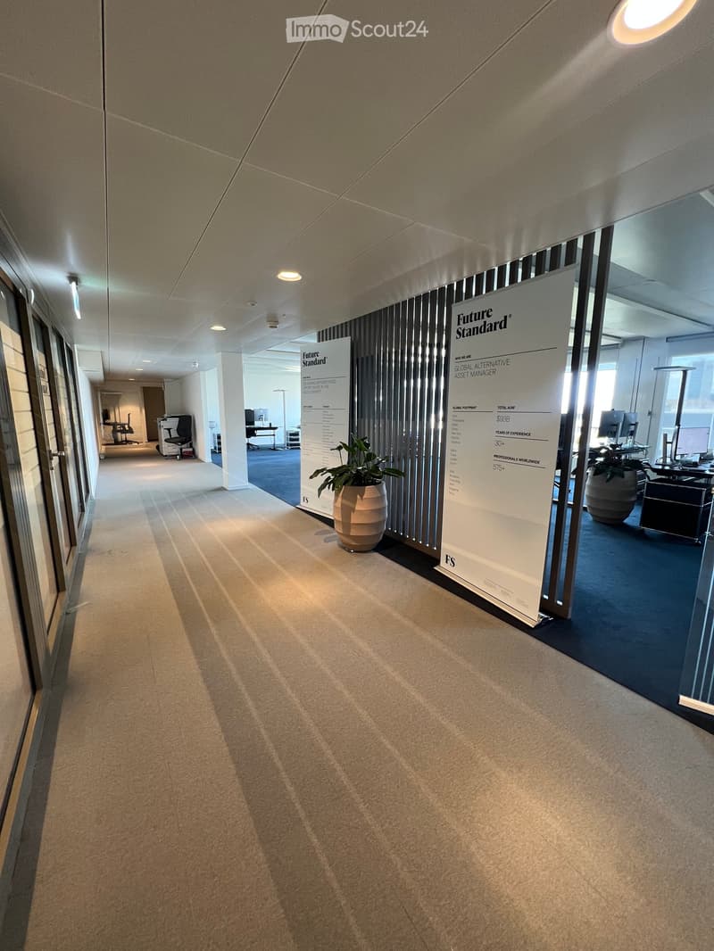 Modern hallway with beige carpeted floor, white walls, and large glass windows on the left side. Features a potted plant and a large banner with the text "Future Standard" on the right side.