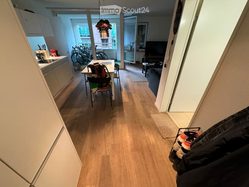 A well-lit hallway with wooden flooring, leading to a kitchen and living area. The hallway features a shoe rack on the right and a small rug near the entrance.