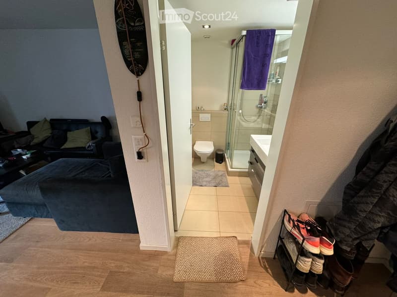 A modern living room with a dark-colored sofa, a small coffee table, and a mirror on the wall. Adjacent to it is a small bathroom with a toilet, sink, and a glass-enclosed shower. A shoe rack is visible near the entrance.