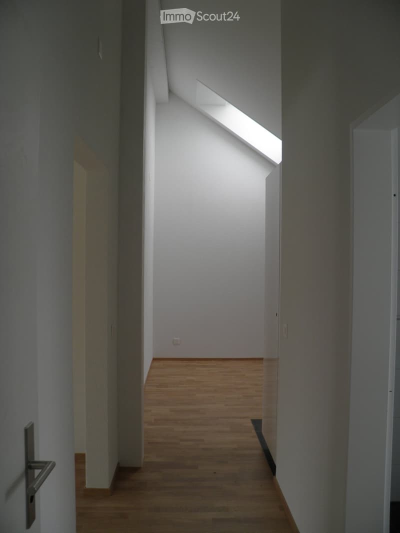 Narrow hallway with light wooden flooring, white walls, and a skylight at the far end providing natural light.