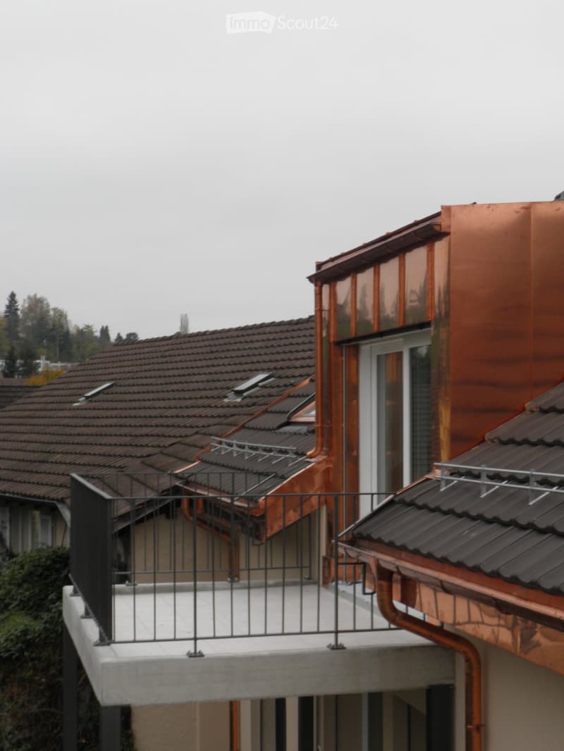 Modern residential building with a copper roof, multiple skylights, and a balcony with a metal railing.