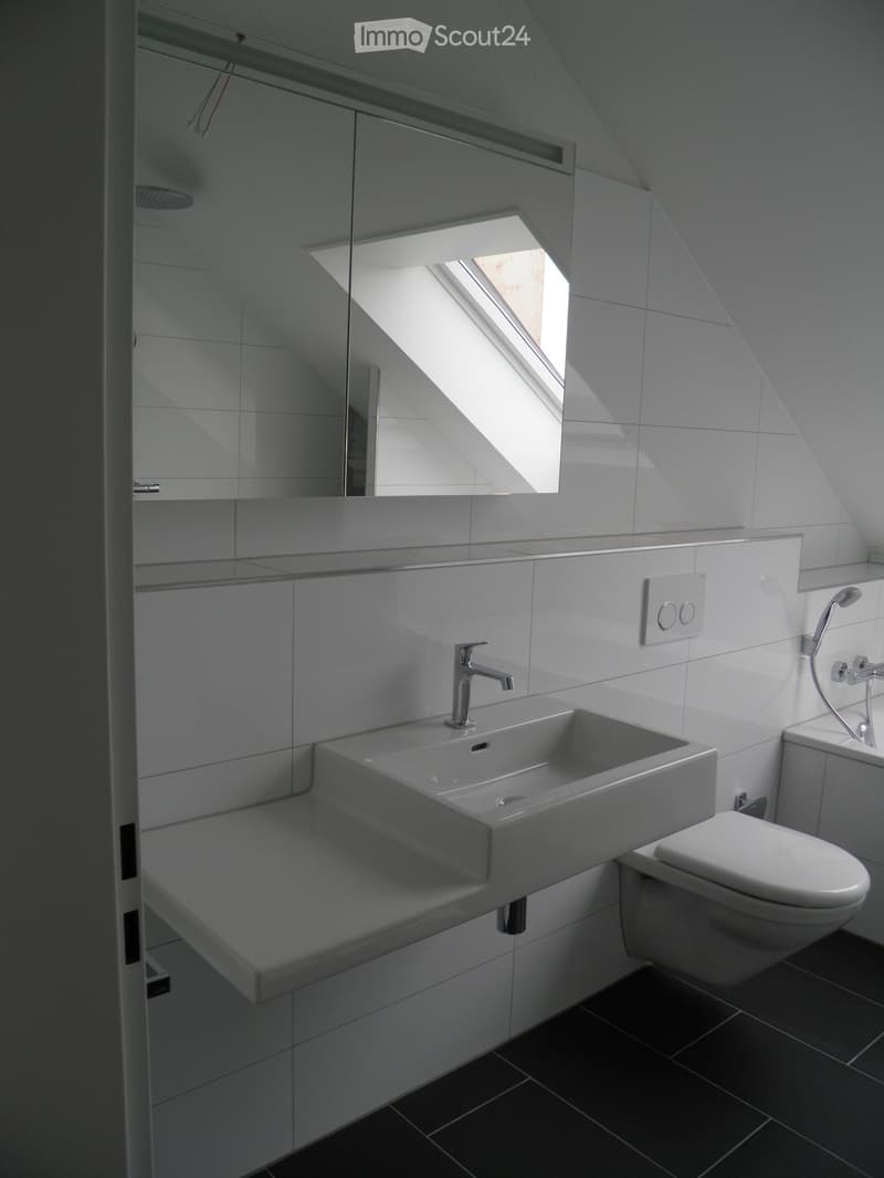 Modern bathroom with a large sink, chrome faucet, toilet, mirror, and a showerhead visible. The room features a skylight window and sleek, contemporary design.
