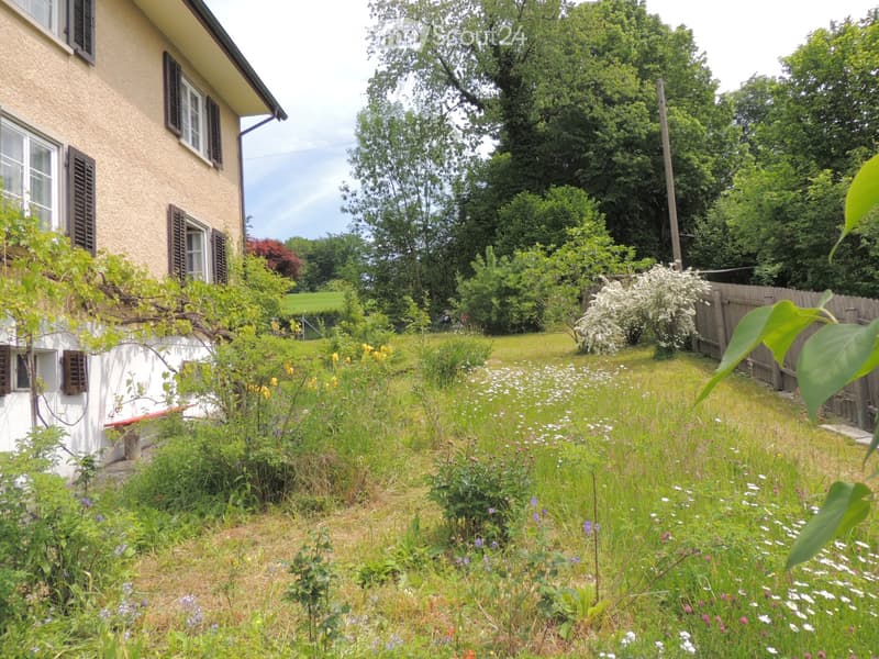 Lush garden with a variety of flowers and plants, a wooden fence, and a house with multiple windows and shutters in the background.