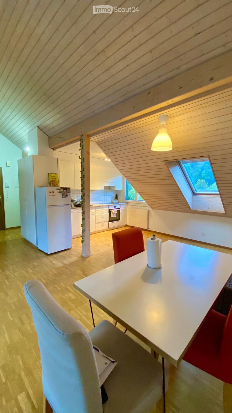 Charming 3.5-Room Attic Apartment with Balcony in Langnau am Albis  - Immediately Available (4)