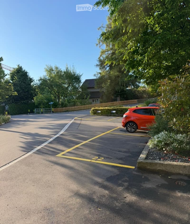 Parking lot with marked spaces, a red car parked, surrounded by greenery and a wooden fence.