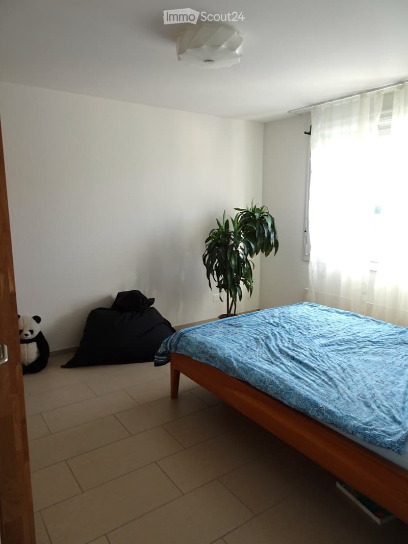 A small bedroom with a wooden bed, blue bedding, a panda toy, a bean bag, and a potted plant near the window.