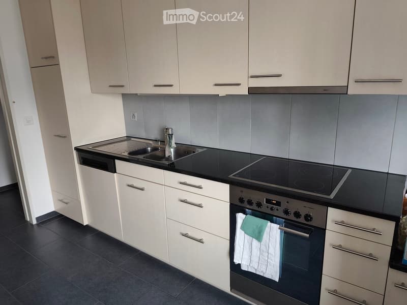 Modern kitchen with white cabinets, black countertops, stainless steel sink, induction cooktop, and oven. Towels are hanging on the oven handle.