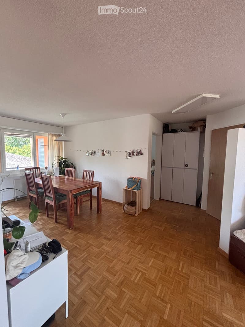 Dining room with wooden floor, dining table with chairs, cabinet, small stool with items, plant, and lamp.