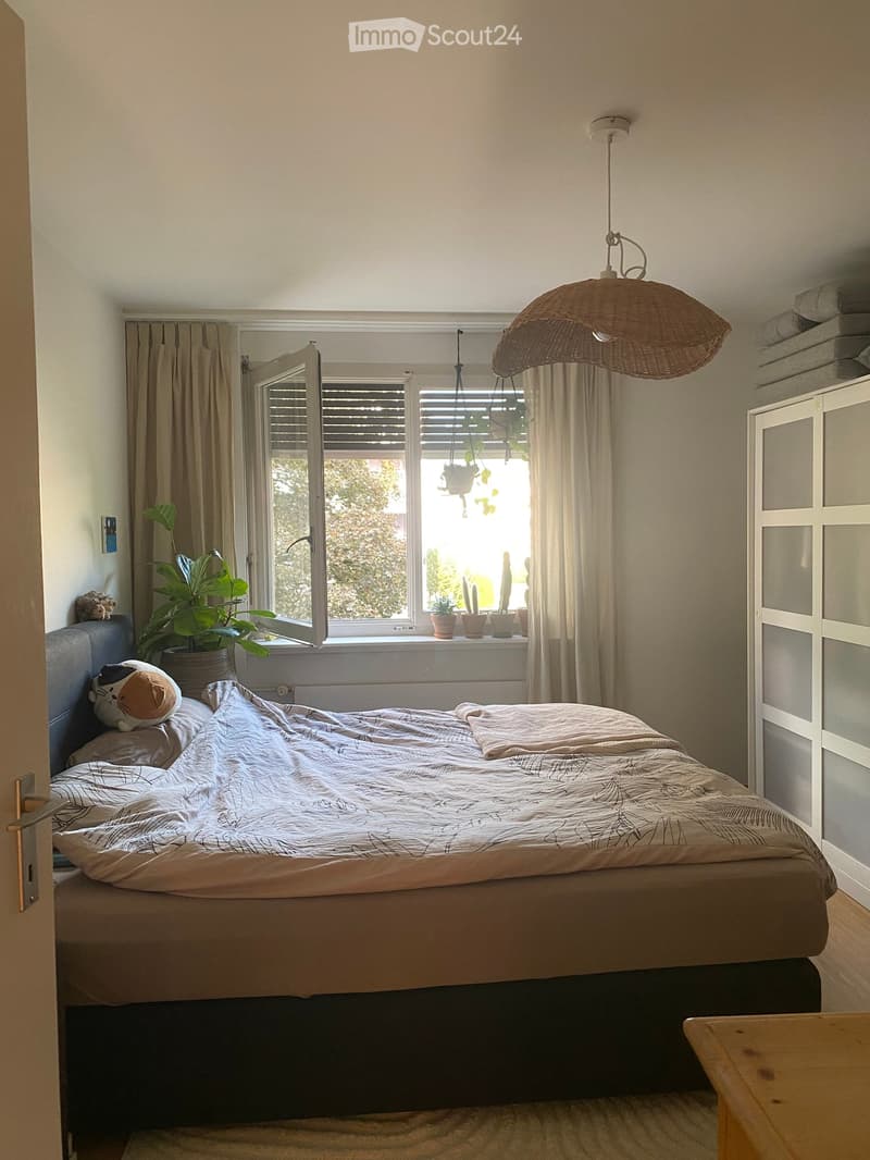 Cozy bedroom with a large bed, patterned bedding, a wicker pendant light, a wardrobe, and potted plants on the windowsill.