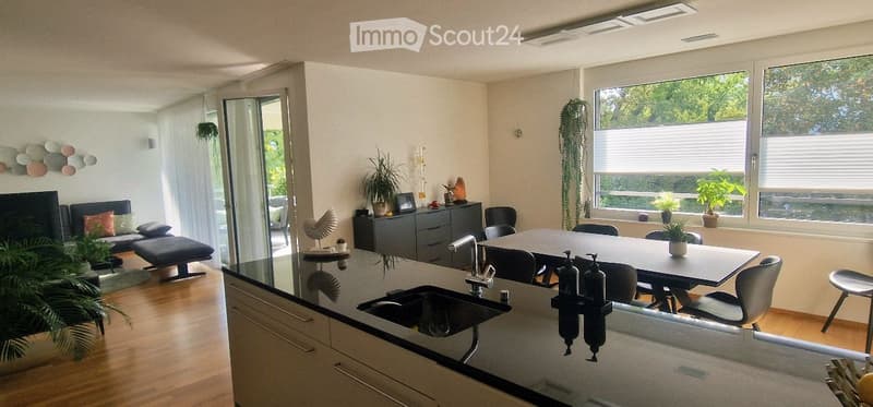 Modern open-plan living and dining area with a sleek kitchen island, sofa, ottoman, dining table, and chairs. Large windows with blinds and several potted plants add to the decor.