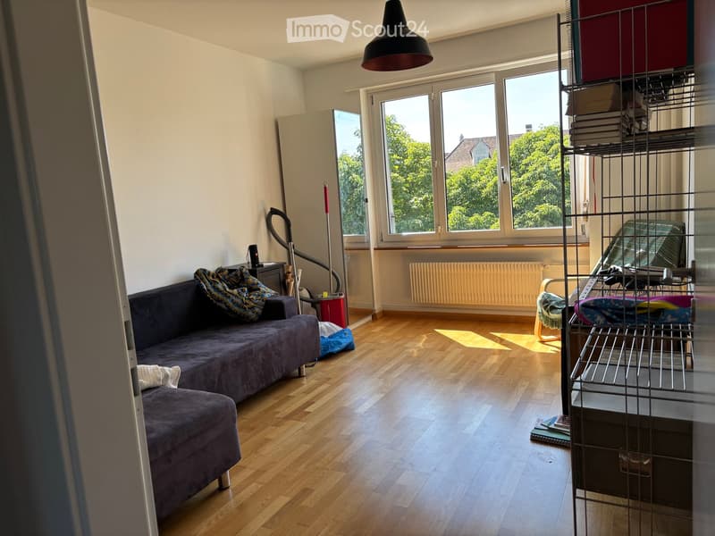 Bright living room with wooden flooring, large windows, a dark blue sofa, a small table, and a storage unit with books and items.