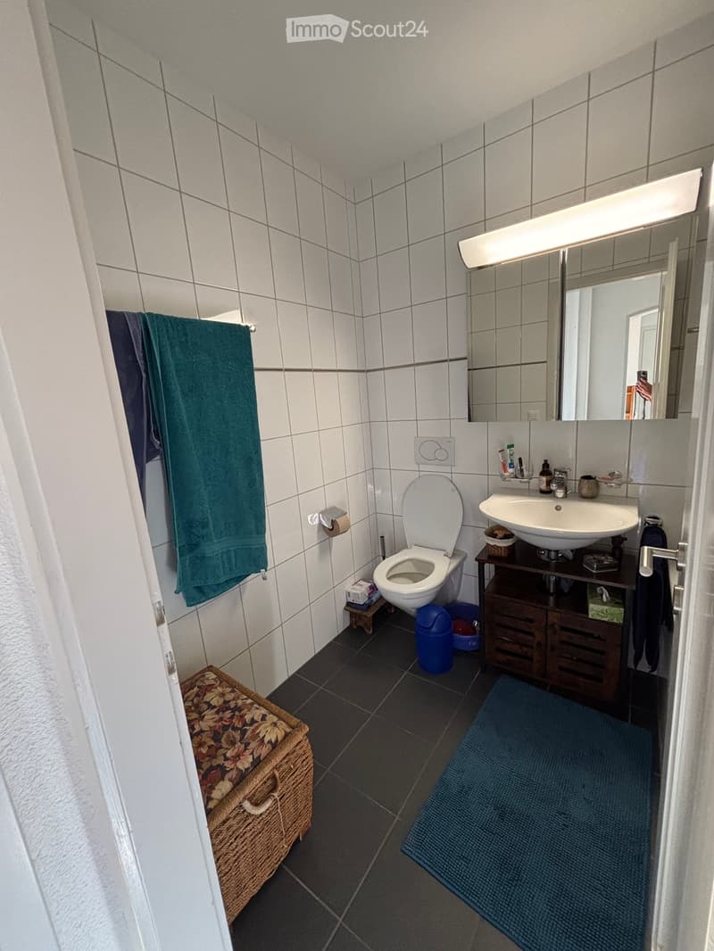 A small bathroom with white tiled walls and dark tiled flooring. Features include a toilet, a sink with a mirror above it, a towel hanging on the wall, a small stool, a woven basket, and a blue rug on the floor.