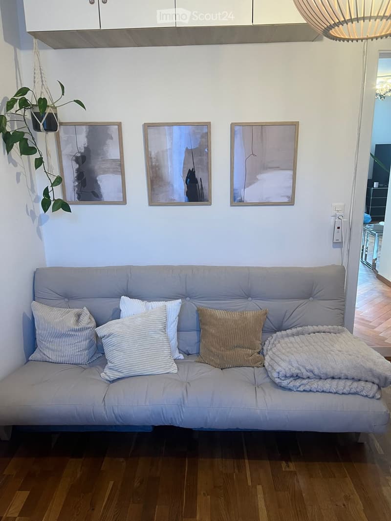 A modern living room with a grey sofa, multiple pillows, a blanket, a hanging plant, and three picture frames on the wall.