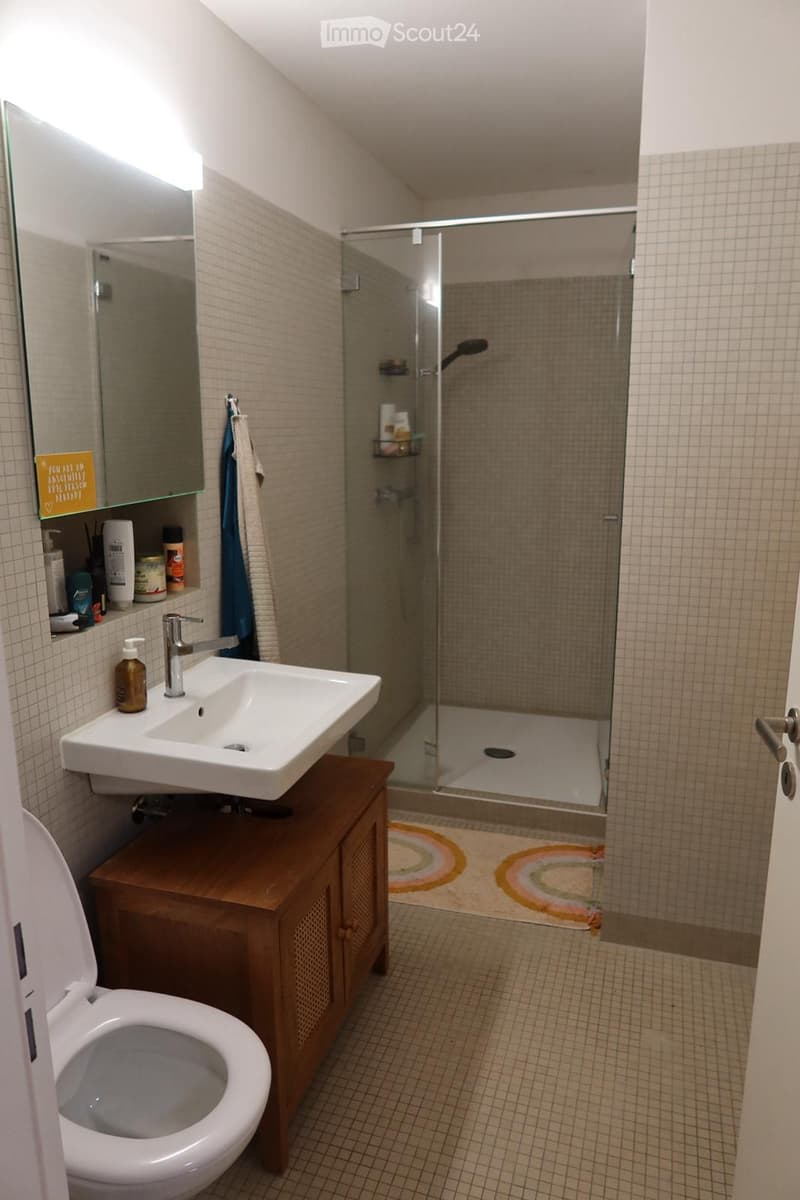 Modern bathroom with a white sink, wooden cabinet, toilet, glass-enclosed shower, and a colorful rug.