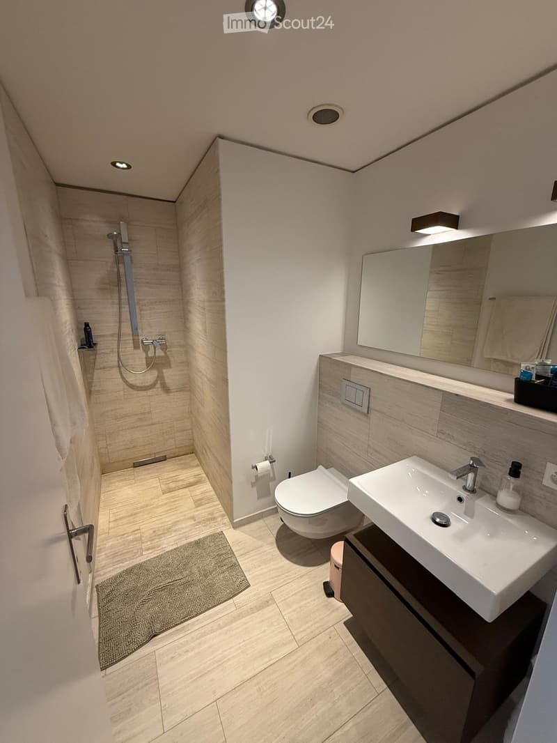 Modern bathroom with a toilet, sink, mirror, and shower area. Features include a wooden floor, a dark wooden cabinet, and a small rug near the door.